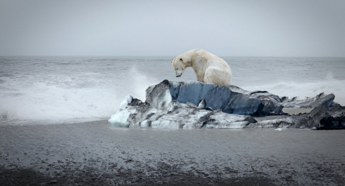 Il Permafrost Cede: Effetti Disastrosi dall'Artico alle Alpi